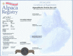 Boccelli ARI Certificate.gif (152181 bytes)