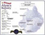 CHR Cisco ARI Certificate.jpg (655538 bytes)