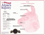 Marley ARI Certificate.gif (138405 bytes)