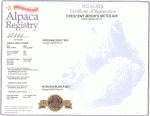 Metolius ARI Certificate.gif (105837 bytes)